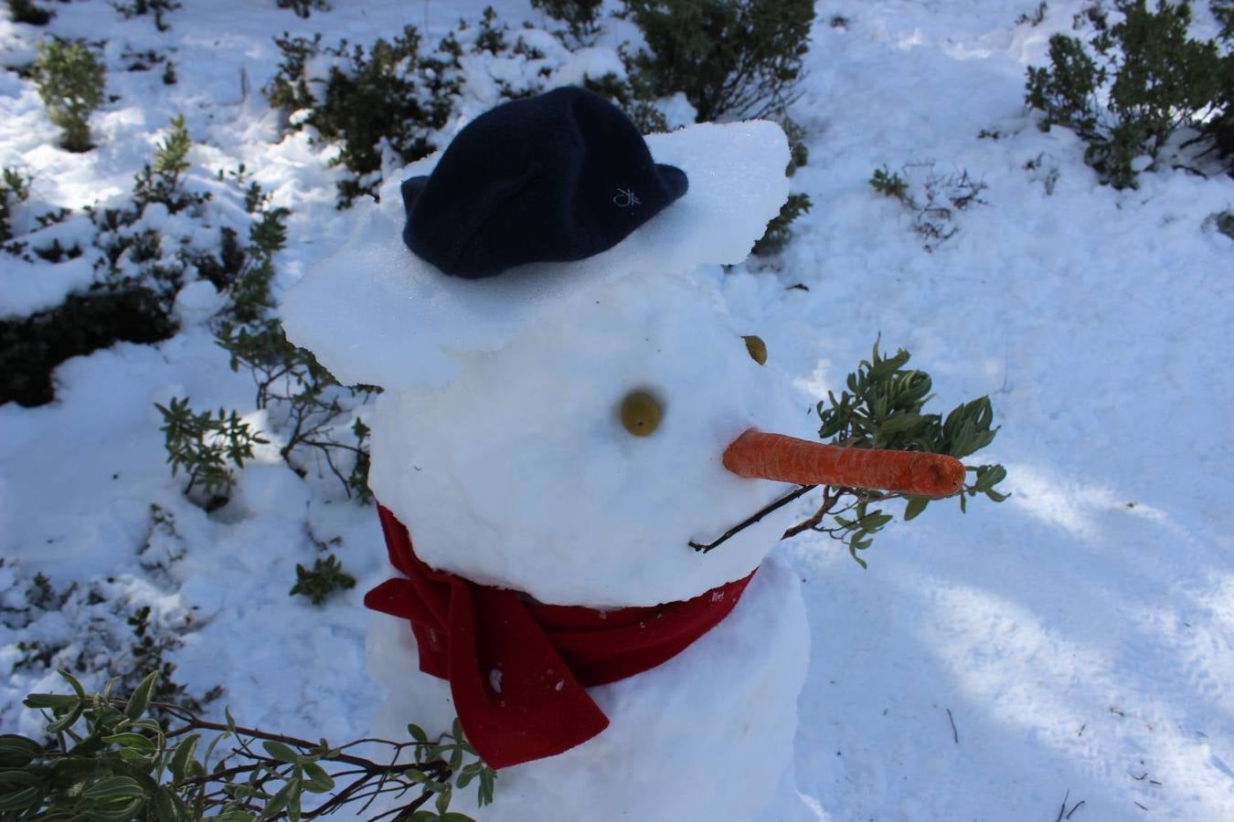 Las mejores imágenes de la nieve este sábado en Ronda