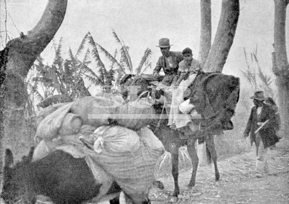 La huida por la Carretera de Málaga-Almería vista por Norman Bethune