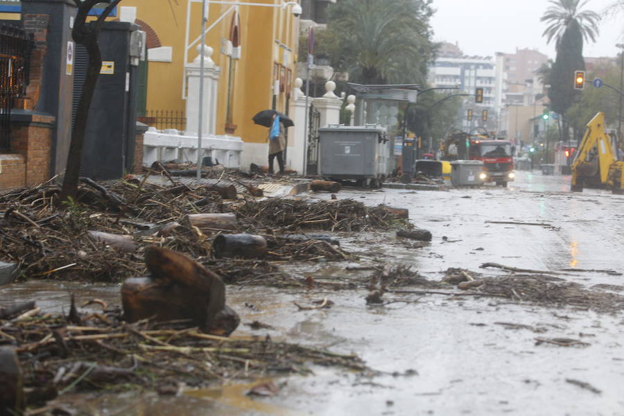 Los efectos de la tromba de lluvia y granizo, en fotos de Fernando González