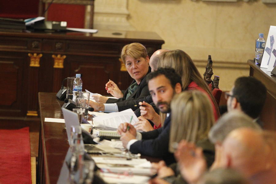El pleno del Ayuntamiento de Málaga, en imágenes