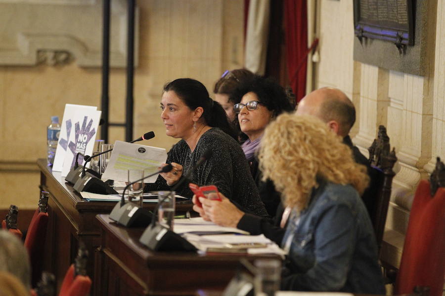 El pleno del Ayuntamiento de Málaga, en imágenes