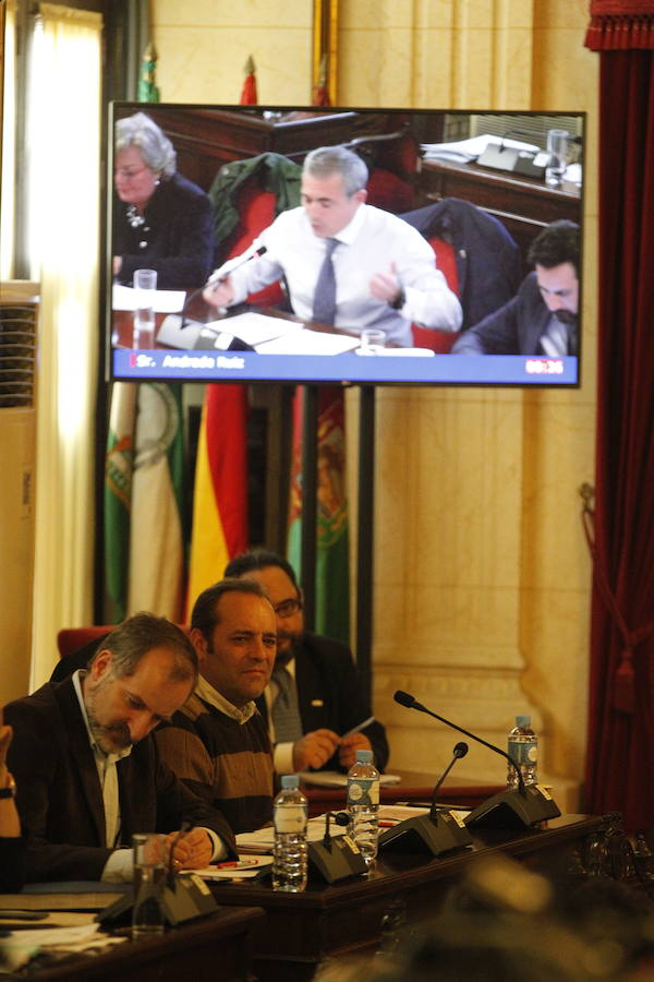 El pleno del Ayuntamiento de Málaga, en imágenes