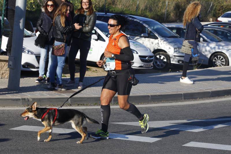Fotos de la Media Maratón Ciudad de Málaga (III)