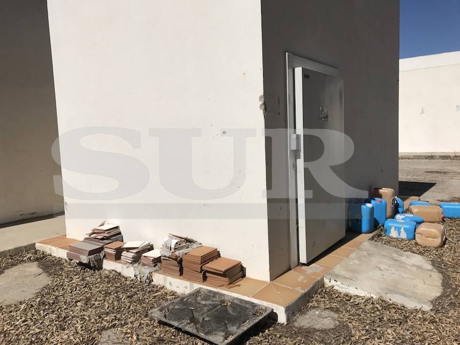 El CIO Mijas, en imágenes