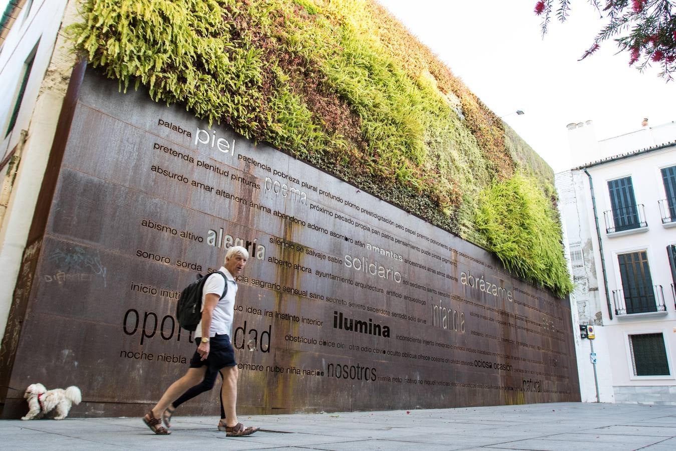 Ocho lugares del Centro de Málaga para lucir en Instagram