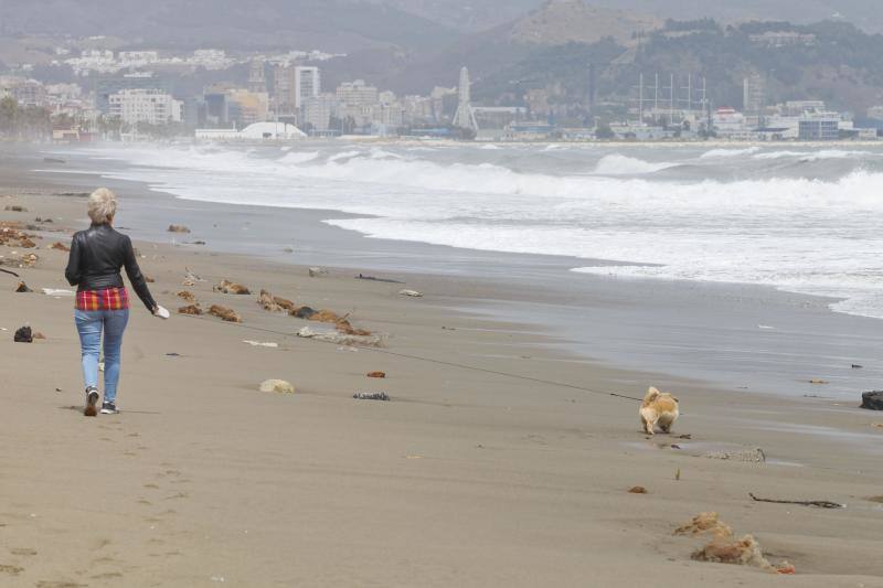 Fotos de los efectos del temporal en las playas de Málaga capital