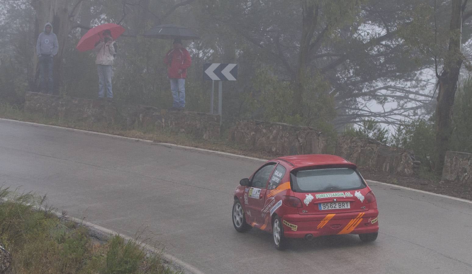 Las mejores imágenes del Rally Rally Gibralfaro de Vehículos Históricos