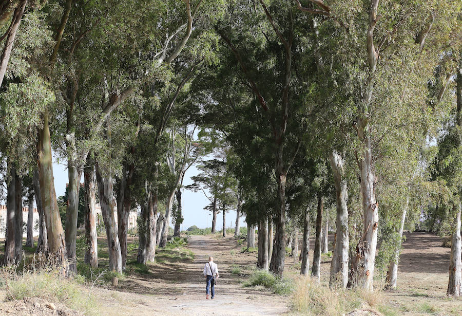 Así está el Campamento Benítez