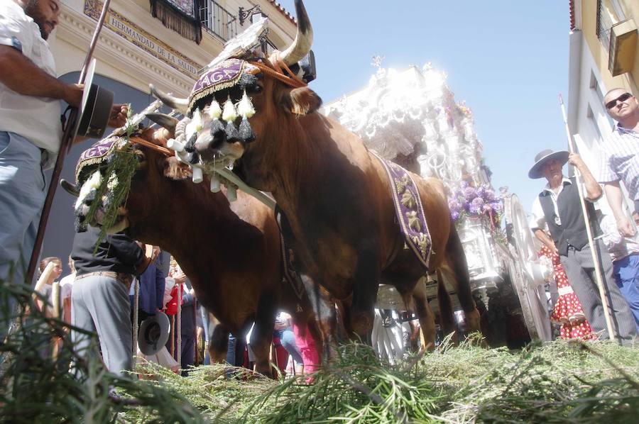 La salida de la Hermandad del Rocío de Málaga, en imágenes