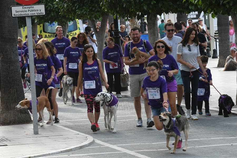 La primera edición andaluza del Perrotón, en Marbella, en fotos