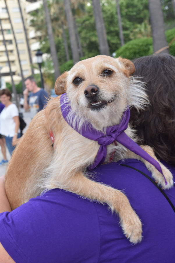 La primera edición andaluza del Perrotón, en Marbella, en fotos