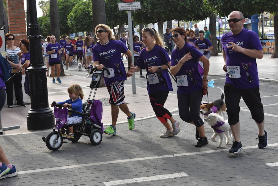 La primera edición andaluza del Perrotón, en Marbella, en fotos