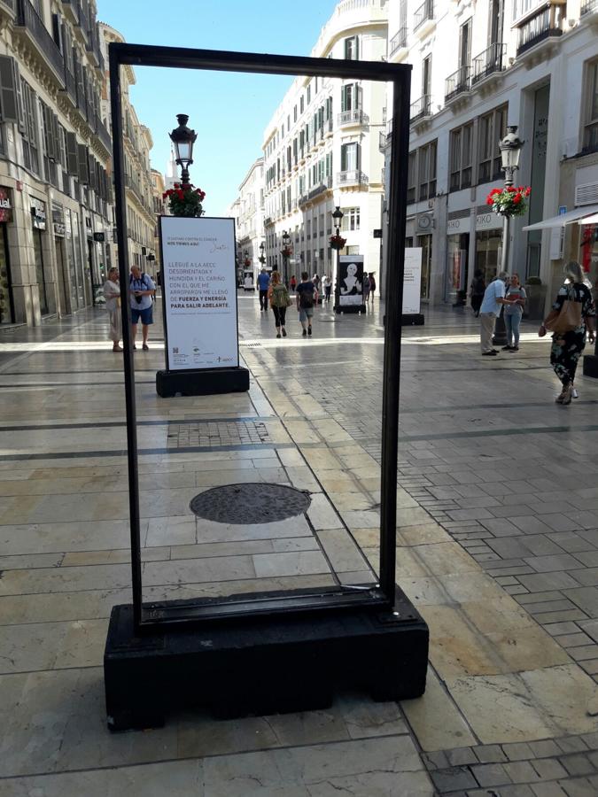 Destrozan la exposición sobre el cáncer instalada en calle Larios