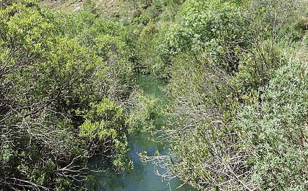 Imagen principal - Arriba: La vegetación es muy espesa en algunos puntos del camino. Izquierda: El curso del río ofrece bonitas pozas en su recorrido. Derecha: Presa del Dique