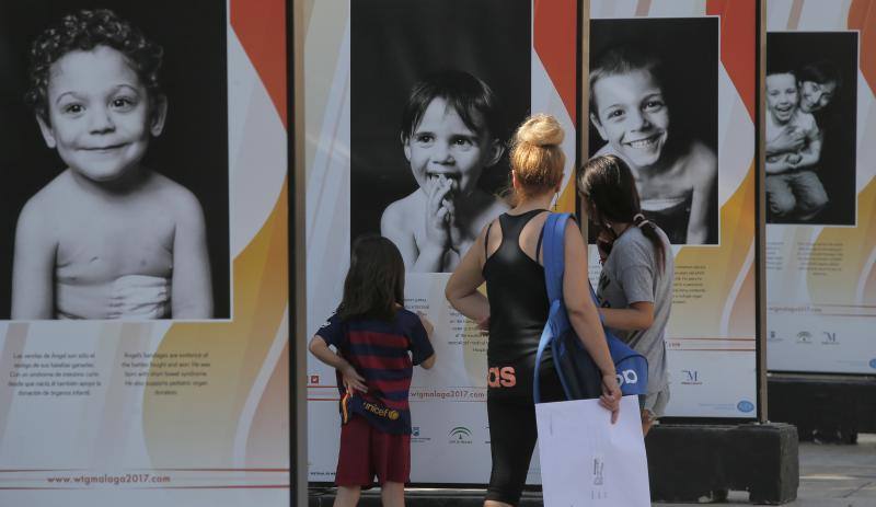 Málaga da la bienvenida a los Juegos Mundiales de Trasplantados con una exposición