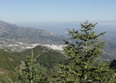 Imagen secundaria 1 - Cuando nieva en la zona, hay que tener especial precaución | Vista de Yunquera tras pasar por Puerto Bellina | Encrucijada de caminos antes de llegar al Peñón de los Enamorados.