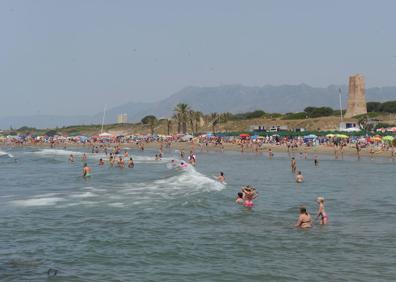 Imagen secundaria 1 - Este sistema dunar está protegido como Monumento Natural de Andalucía | Playa de Cabopino