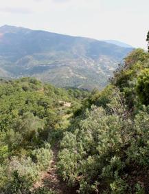 Imagen secundaria 2 - Carril de tierra desde el que se ven restos del castillo (a la izquierda) | Panel indicativo a los pies del cerro del castillo | Sendero angosto por el que se asciende a la antigua fortaleza