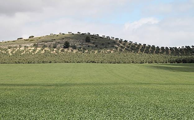 Se atraviesan fértiles parcelas de cutivos