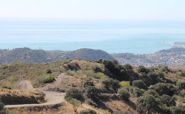 Desde el Camino de los Almendrales se sube por un carril de tierra