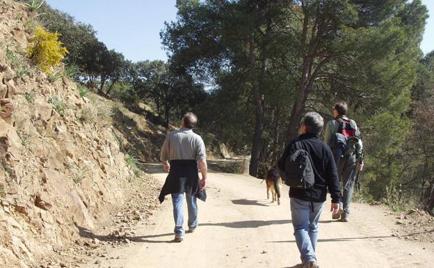 El sendero discurre en su mayor parte por un carril ancho y llano