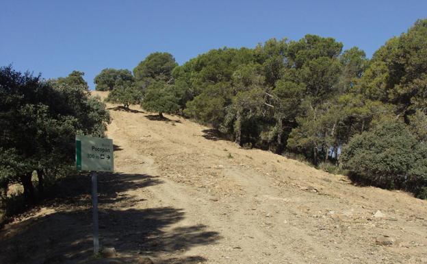 Para llegar al mirador hay que subir por una pendiente muy acentuada