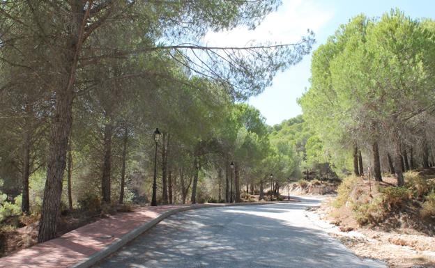 Imagen principal - Buena parte del camino se puede hacer por la acera que hay junto al carril | Vistas de las huertas que hay en la ribera del Alcazarín | La subida más dura de este itinerario