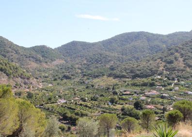 Imagen secundaria 1 - Buena parte del camino se puede hacer por la acera que hay junto al carril | Vistas de las huertas que hay en la ribera del Alcazarín | La subida más dura de este itinerario