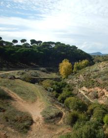 Imagen secundaria 2 - Una de las fuentes antiguas que se pueden ver en el camino | Uno de los puentes que permiten cambiar de margen en el recorrido | Panorámica de este angosto valle