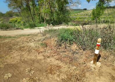 Imagen secundaria 1 - Casi toda la etapa discurre por una senda paralela al río | La señalética de esta ruta se corresponde con el GR-248 | Encrucijada de senderos en el Molino del Tejar