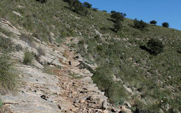 Imagen principal - Tras casi tres kilómetros, el camino deja atrás el bosque | Al fondo, el pico Valdivia | Indicación para el último tramo de este recorrido