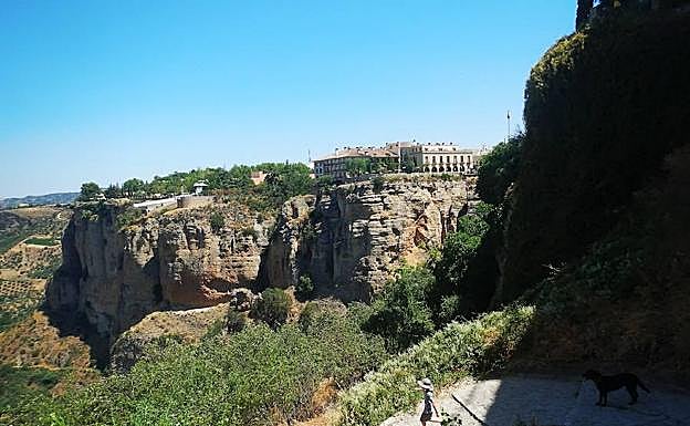 Descenso por el Camino de los Molinos