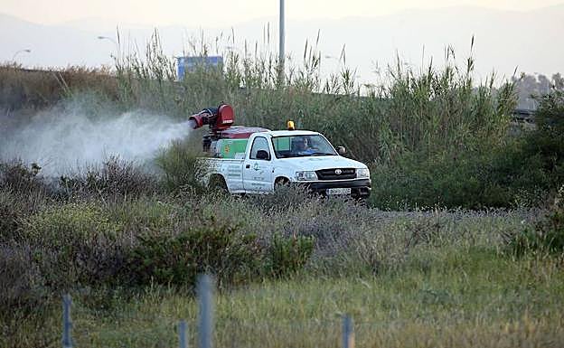 Fumigación en Guadalmar. 