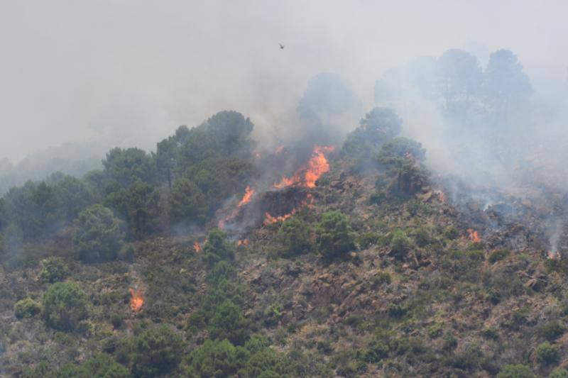 Tres helicópteros y medio centenar de bomberos luchan contra el incendioregistrado este domingo al norte de La Zagaleta.