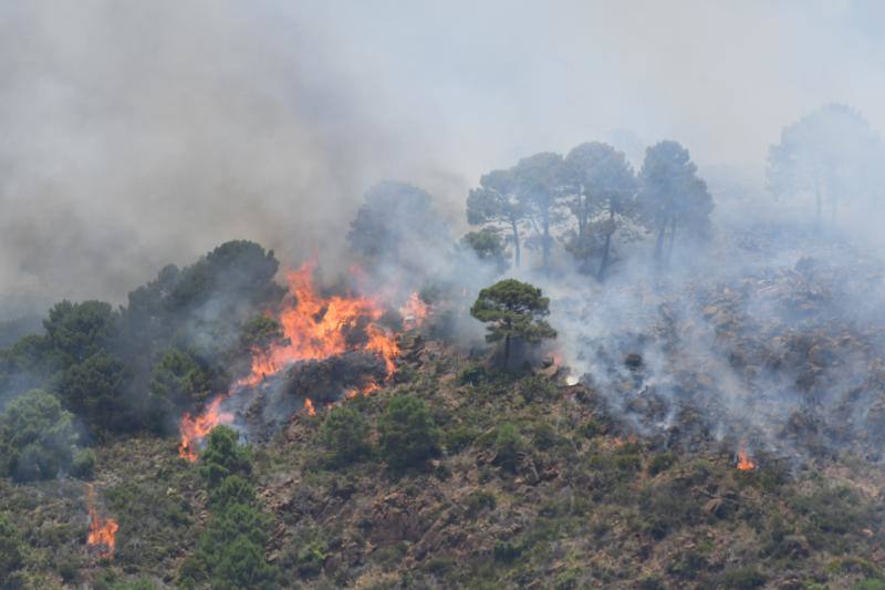 Tres helicópteros y medio centenar de bomberos luchan contra el incendioregistrado este domingo al norte de La Zagaleta.