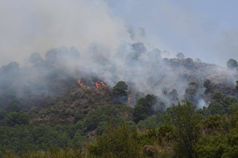 Tres helicópteros y medio centenar de bomberos luchan contra el incendioregistrado este domingo al norte de La Zagaleta.