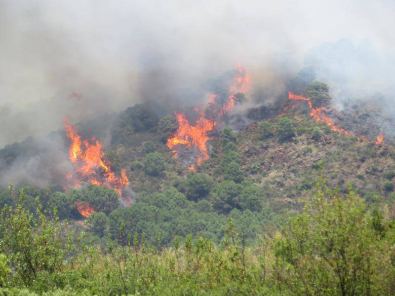 Tres helicópteros y medio centenar de bomberos luchan contra el incendioregistrado este domingo al norte de La Zagaleta.
