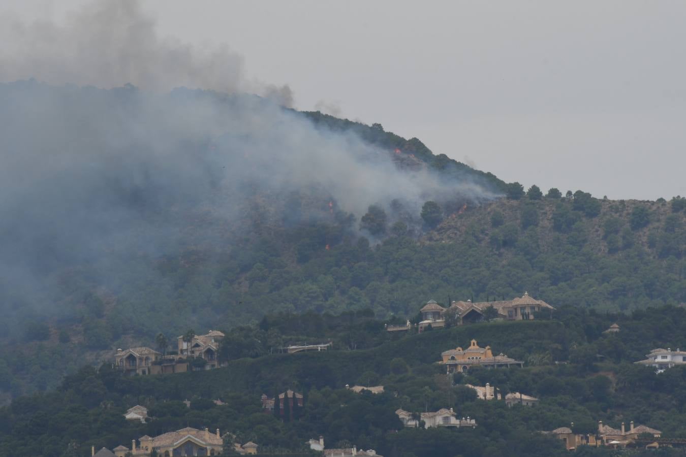 Tres helicópteros y medio centenar de bomberos luchan contra el incendioregistrado este domingo al norte de La Zagaleta (Fotos: Josele-Lanza / Infoca)