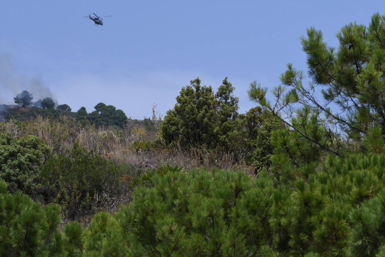 Tres helicópteros y medio centenar de bomberos luchan contra el incendioregistrado este domingo al norte de La Zagaleta (Fotos: Josele-Lanza / Infoca)