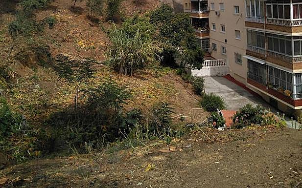 Trabajos de desbroce y tala de árboles que se ha realizado en el monte Gibralfaro de Málaga para crear una franja libre de vegetación entre las viviendas y la masa forestal. :