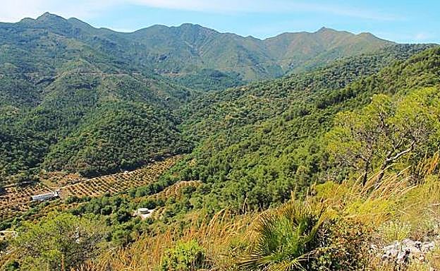 Imagen de archivo de la zona de Cabrillas.