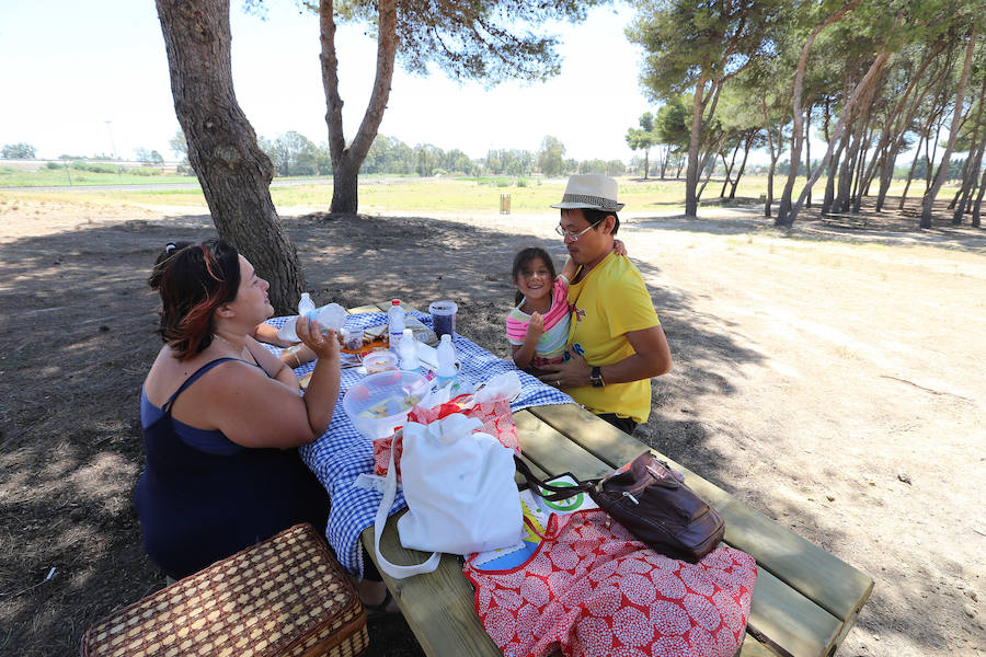 El recinto, que no contará con vigilancia, estará abierto las 24 horas y dispone de una veintena de mesas y papeleras para hacer picnic 