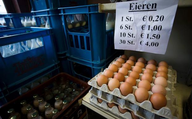 Huevos en venta en Bélgica. 