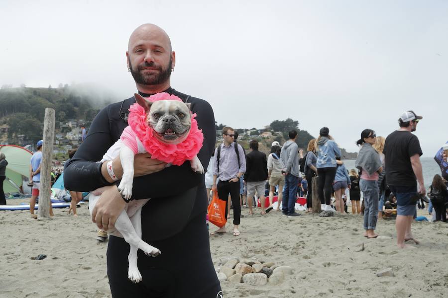 El Campeonato Mundial de Surf para perros en la Playa Linda Mar en California. Los perros acompañados de sus tandems o dueños luchan por el primer puesto en la competición 