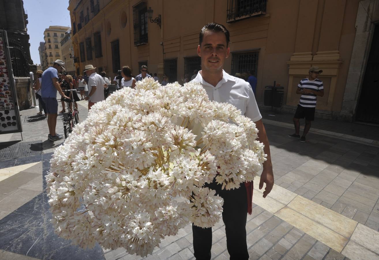 Las mejores fotos del martes de Feria en el Centro de Málaga (I)