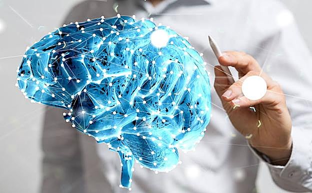 Representación artística de un cerebro humano.