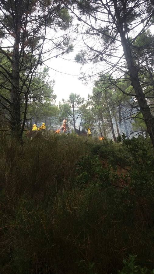 El fuego se inició este mediodía en la carretera A-397 que une San Pedro con Ronda