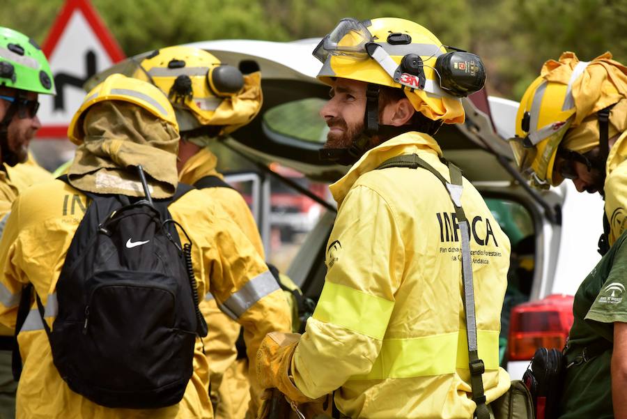 El fuego se inició en la carretera A-397 que une San Pedro con Ronda