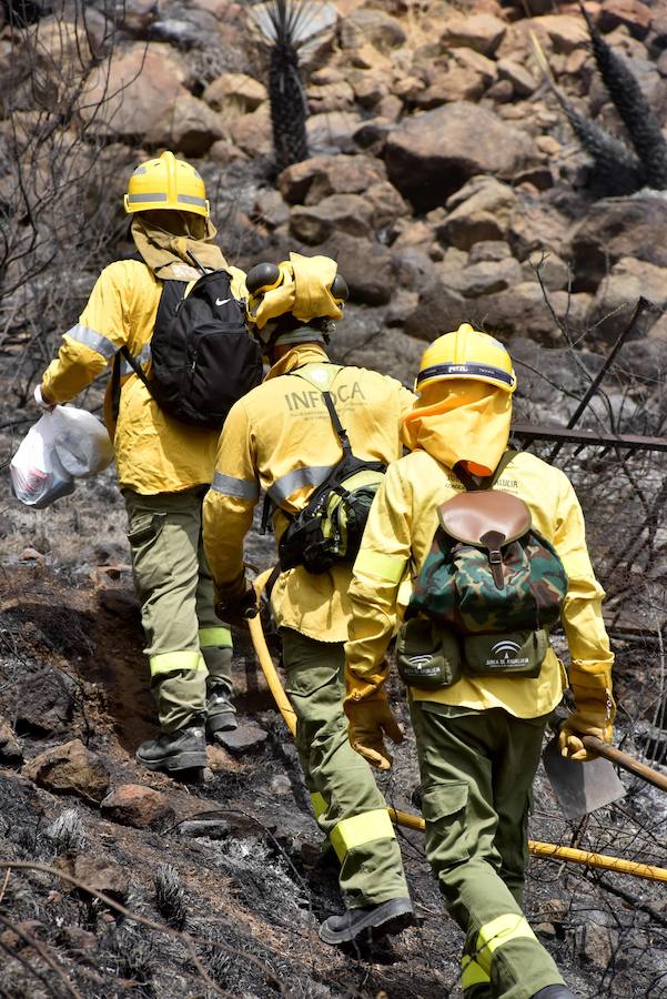 El fuego se inició en la carretera A-397 que une San Pedro con Ronda