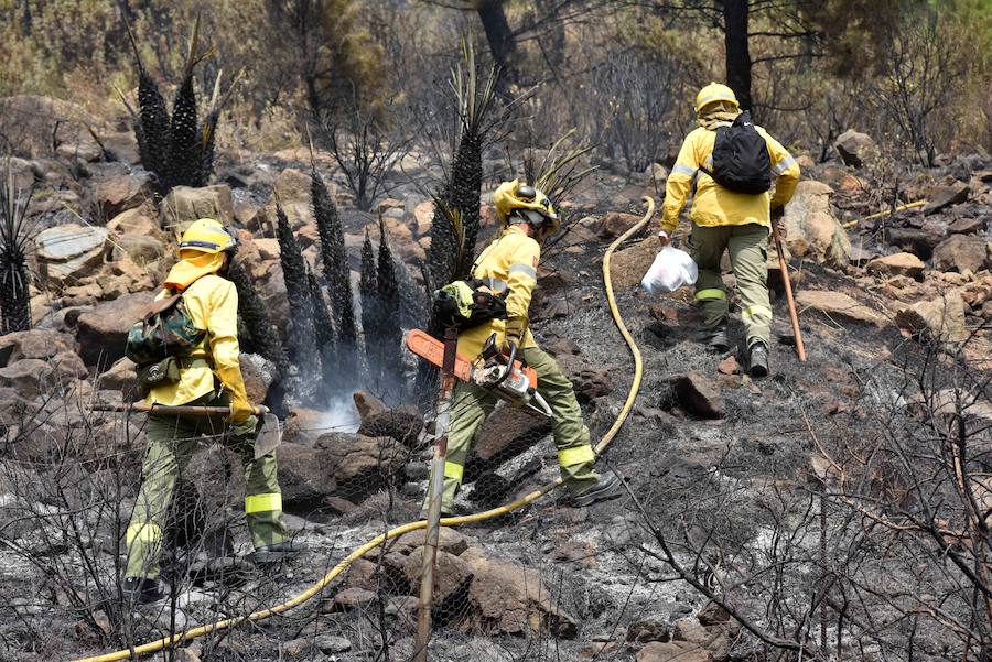 El fuego se inició en la carretera A-397 que une San Pedro con Ronda